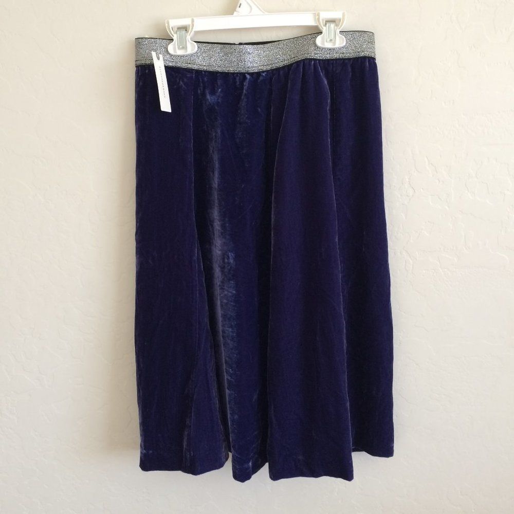Anthropologie Maeve Blue Formal Velvet Skirt 8